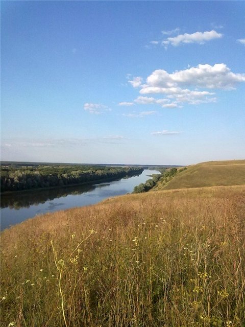 3ba74407bcdf.jpg